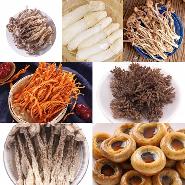 云南土特产香菇直播专用链接2