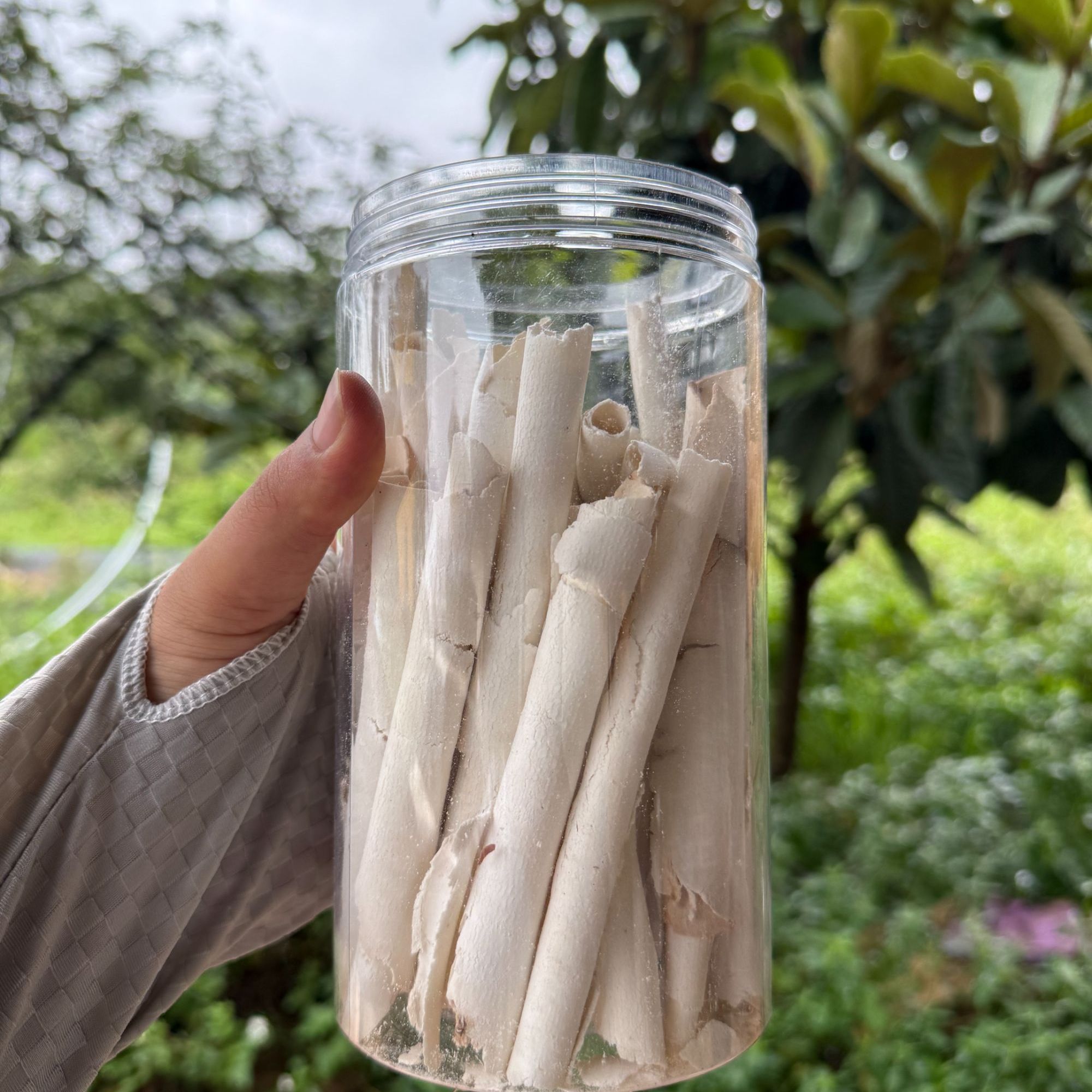 云南下山货 茯苓片，茯苓卷超薄中心位置，易断介意勿拍