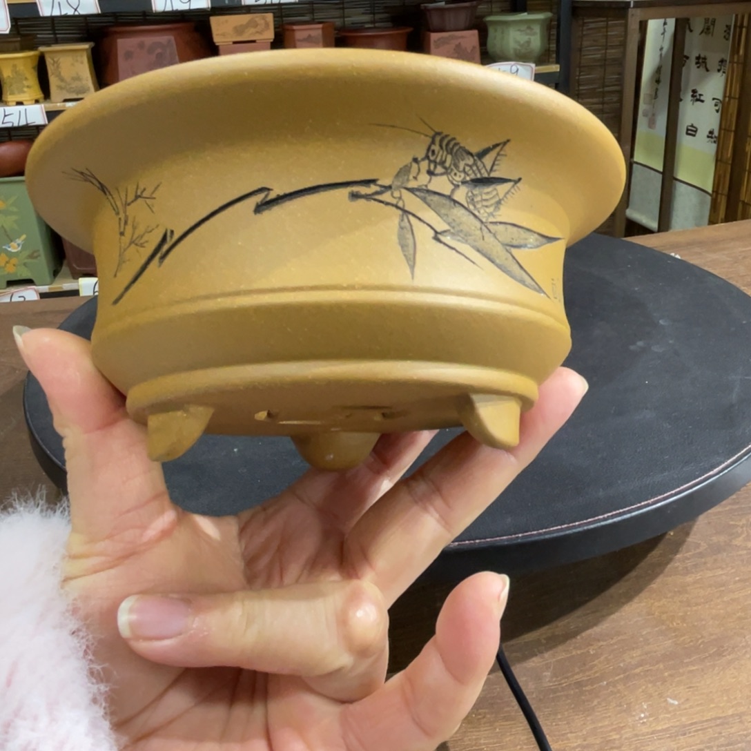 紫砂花盆紫砂花盆在这里