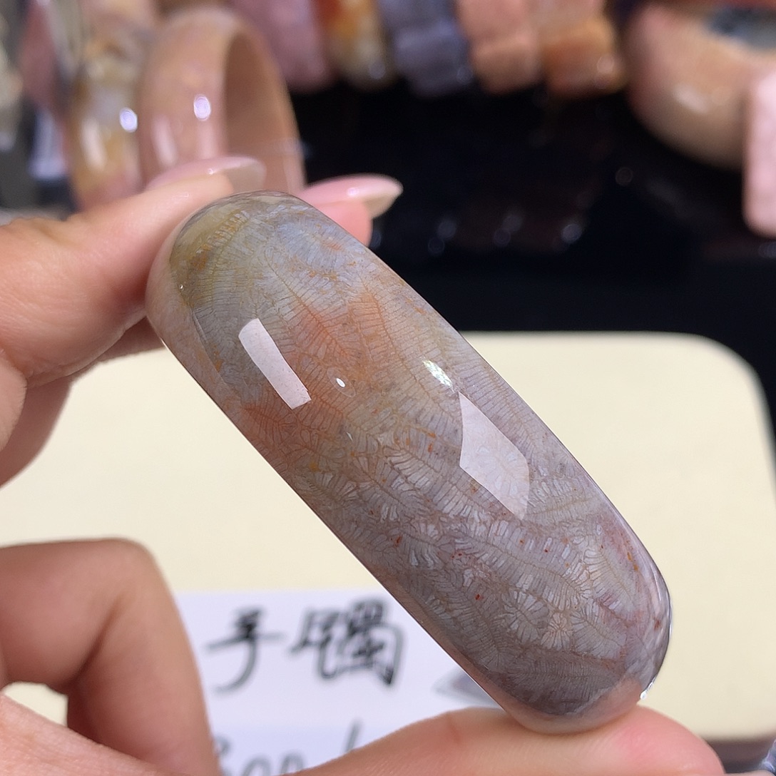 吊坠(赠链)未镶嵌硅化珊瑚（珊瑚玉）21号虫52圈