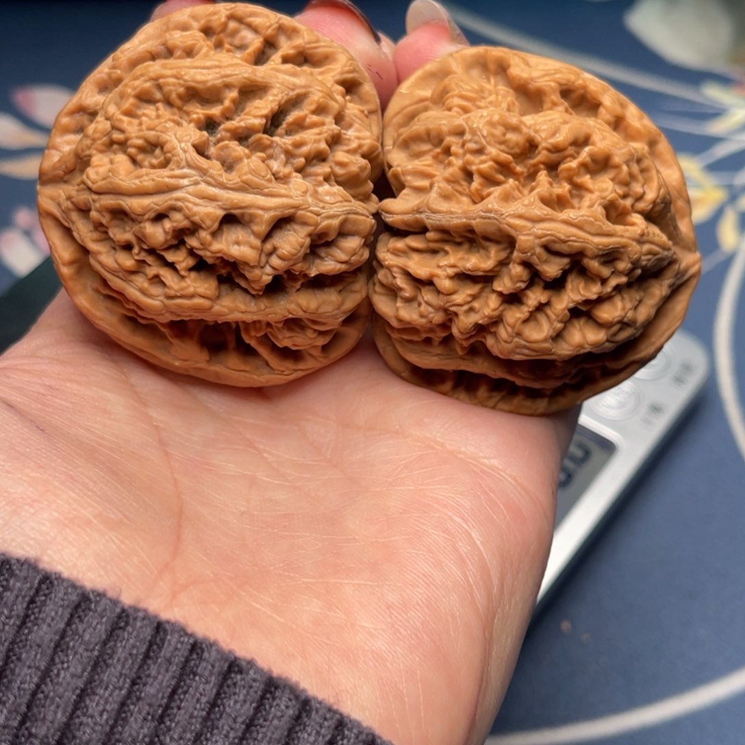 文玩核桃把件粗筋48