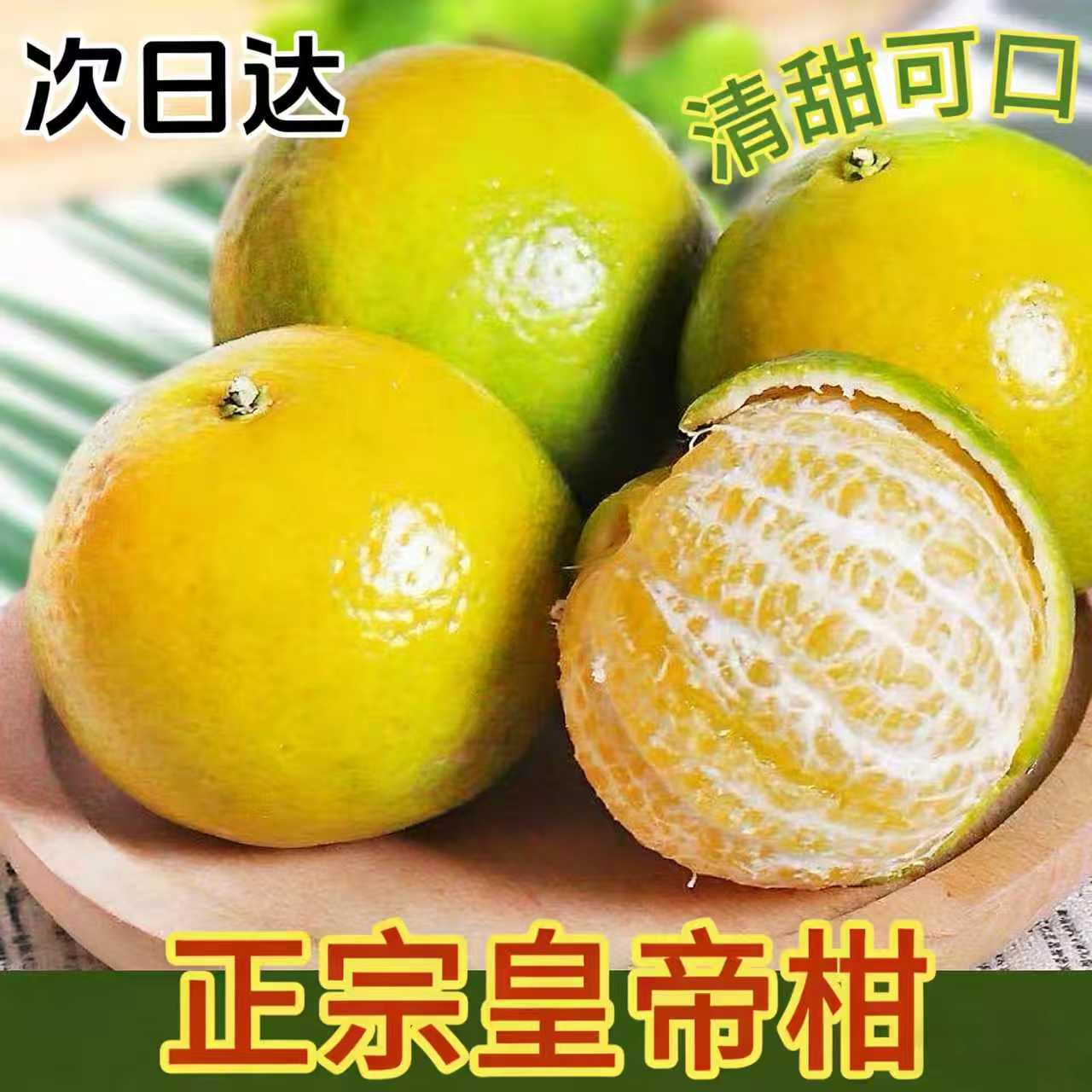 S【京东次日达】正宗皇帝柑新鲜现摘皮薄肉厚多汁当季水果广东省