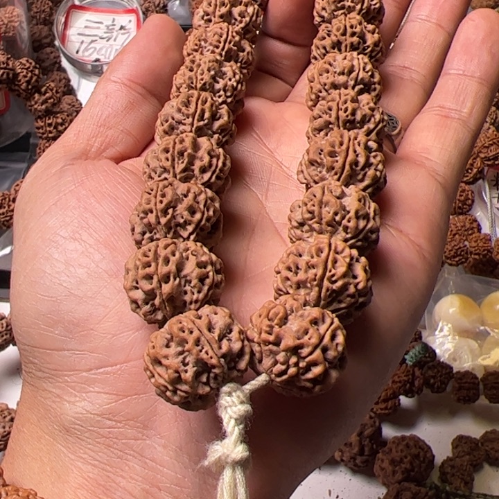 金刚菩提手串五*哥21➕始祖梅花