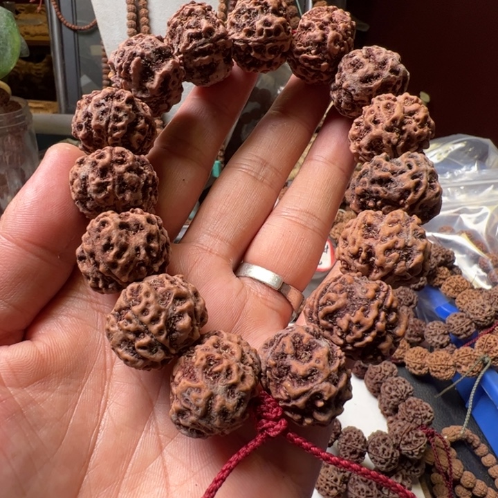 手串金刚菩提24平头粗筋蜂窝双龙