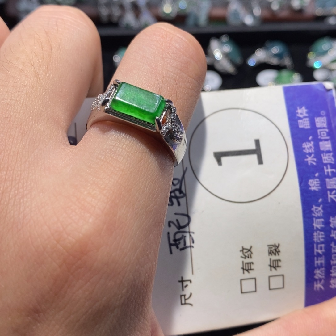 A***飞翡翠未镶嵌颈饰翡翠