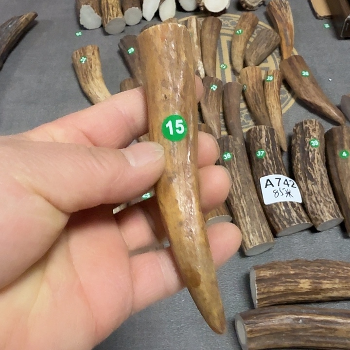 *****香榧木鹿角工艺品原料