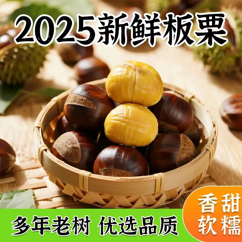 【买3斤送2斤】2025新鲜现摘板栗大果 坏果包赔