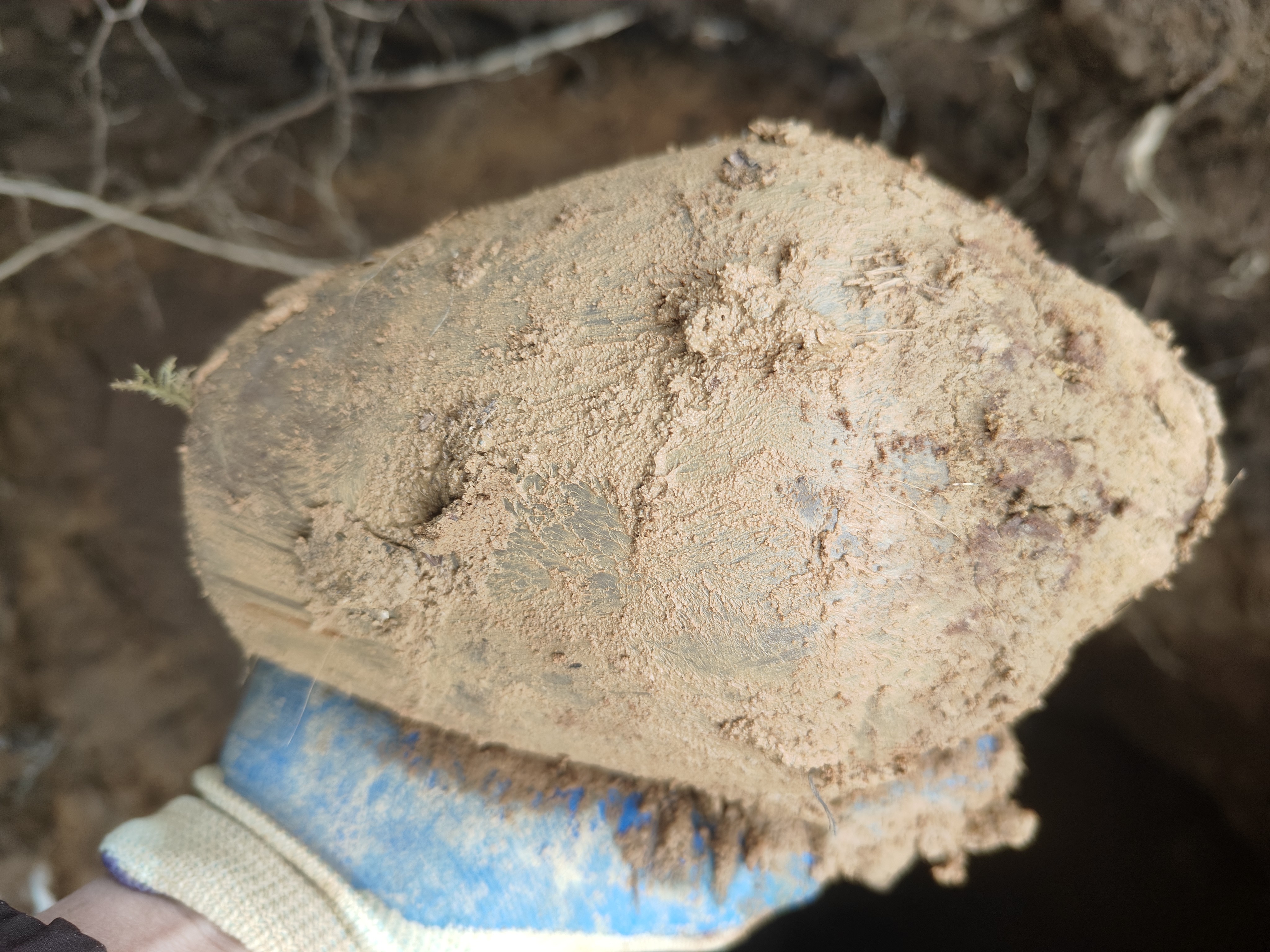 出土家居摆件00001