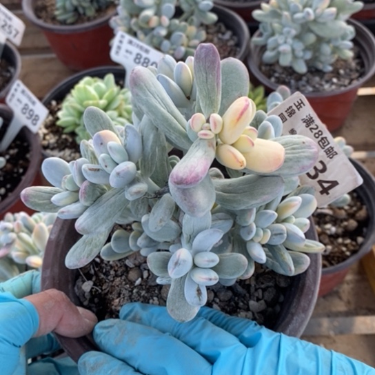 234一一一一一一一一一