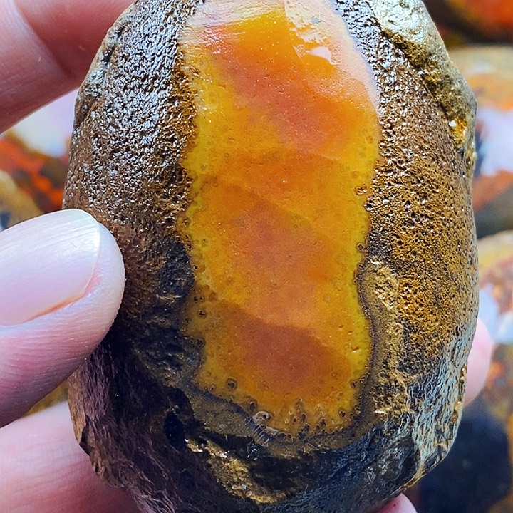 来***树定制玛瑙未镶嵌战国红