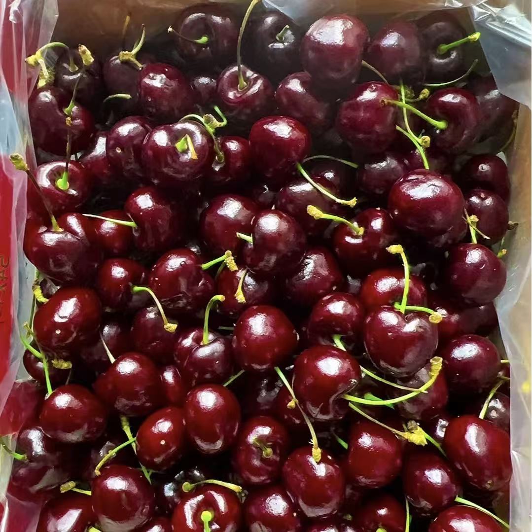 JJJJJ海运智利桑提娜车厘子5斤原包装桑提娜智利