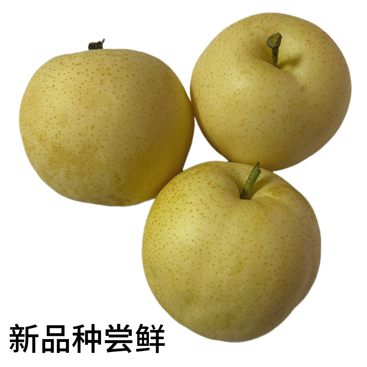 全新品种梨新鲜采摘当季水果皮薄肉细超甜脆爽多汁
