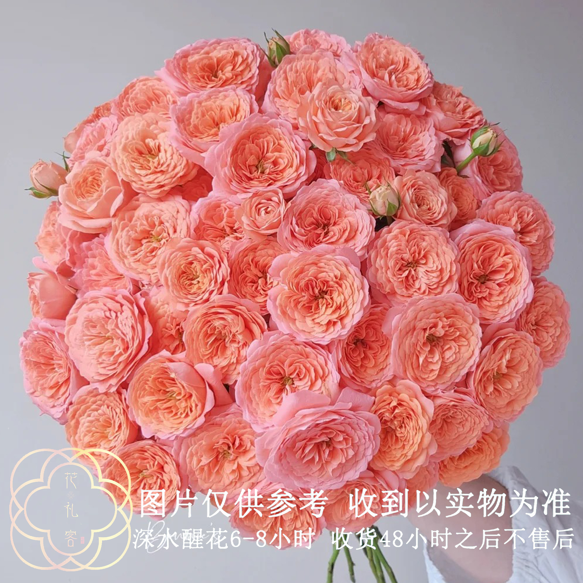 七叶花坊#【杏色果汁】多头高品质鲜切花云南基地直采顺丰直发