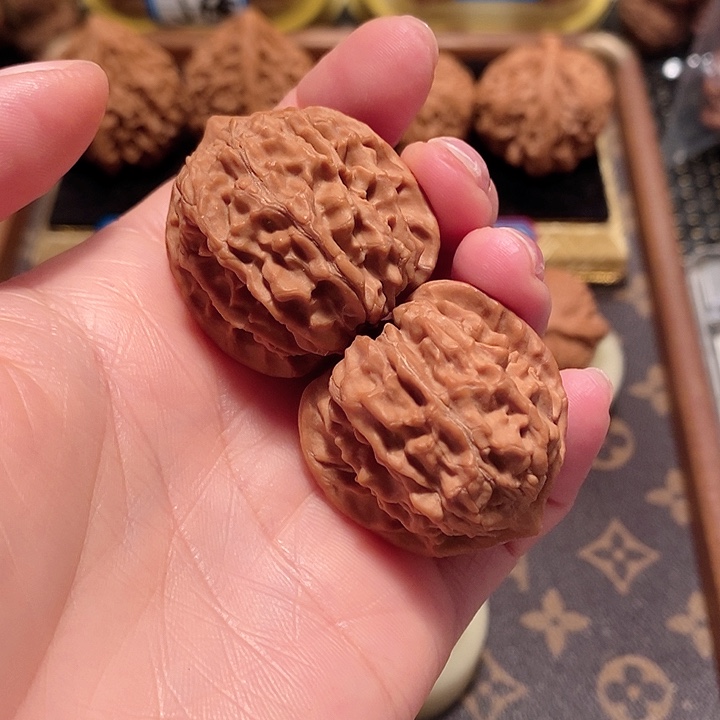 核桃手串/手链35尺寸骨塞龙