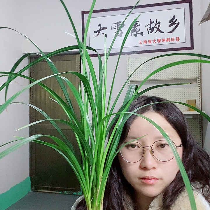 完全开放大雪素大雪素