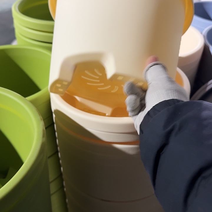 球根26口径6个无托米黄