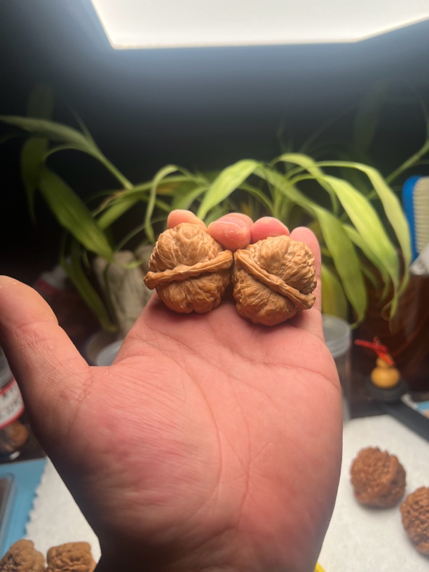 金蝉蛤蟆头文玩核桃