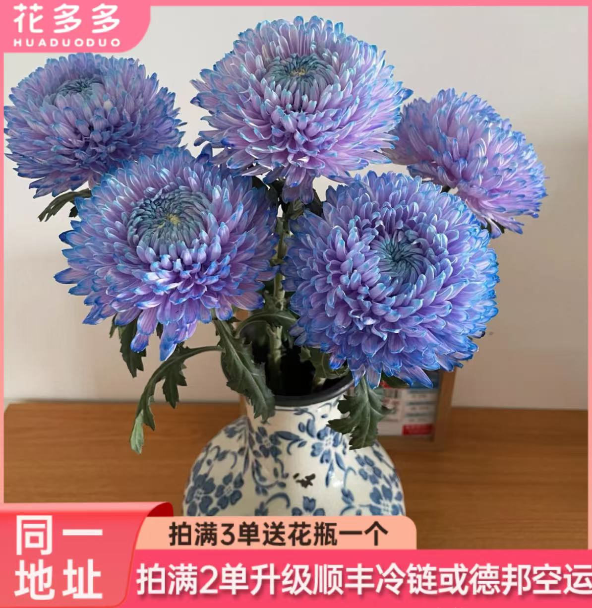 【梦幻浅紫牡丹菊】全场鲜花任意满两单升级冷链 