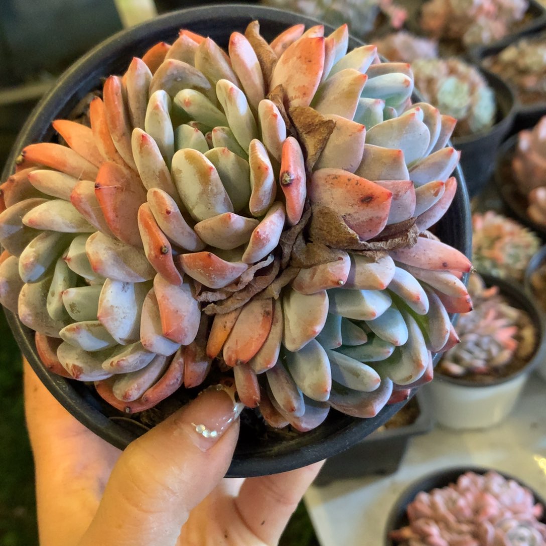 哈哈哈哈哈哈哈哈哈哈哈