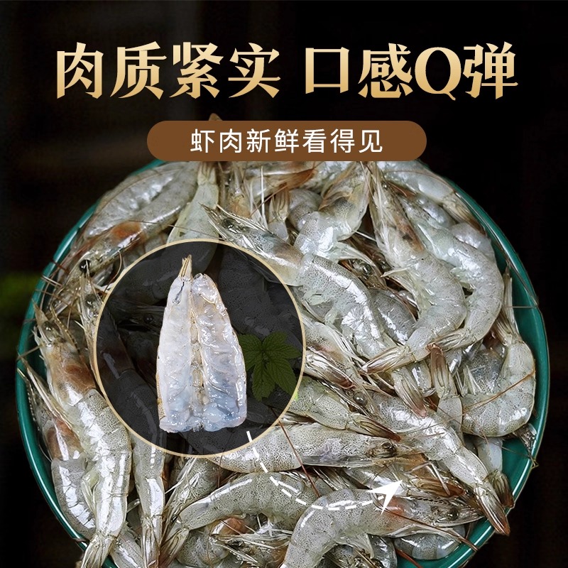 【壳薄肉厚】新鲜活冻小海虾渔船现捕现冻白虾海虾5-8厘米两斤四盒