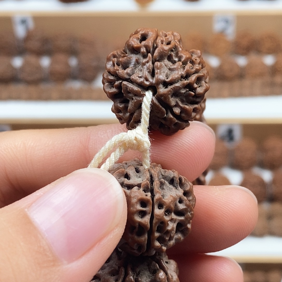 手串金刚菩提精品梅花红皮铁籽矮桩蜂窝双龙