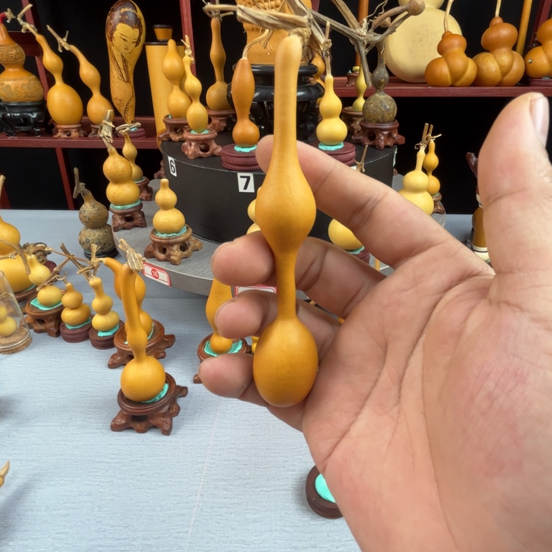 东***明藤木我的小可爱，一点也不像个女孩