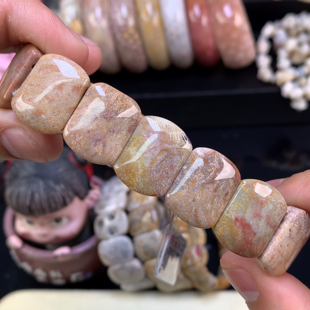 硅化珊瑚（珊瑚玉）未镶嵌颈饰16号红彩虫