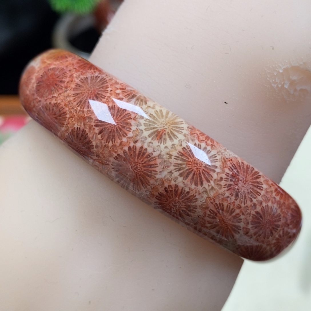 硅化珊瑚（珊瑚玉）未镶嵌手镯圈口60.3