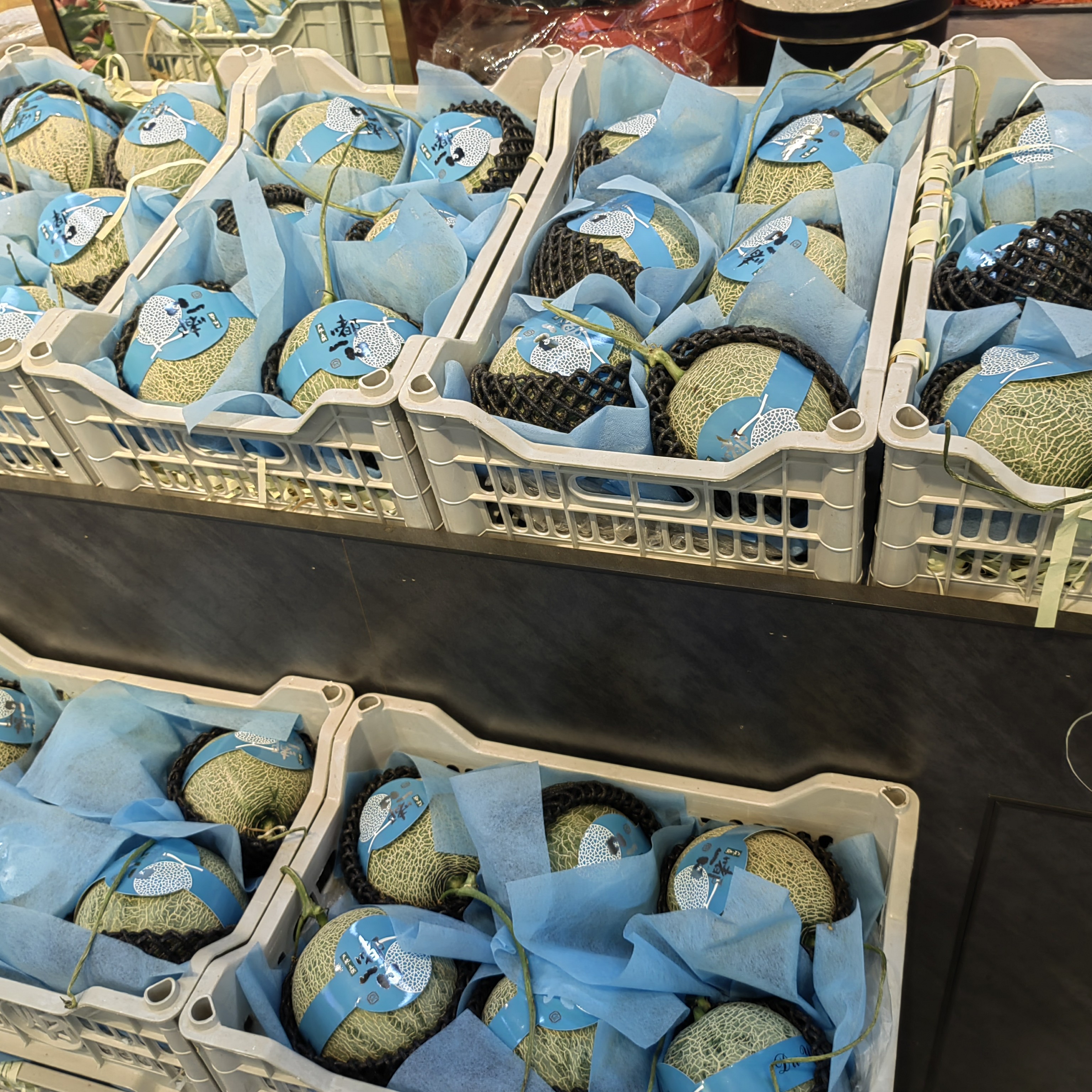 海南口感香糯入口回甘日本品种玫珑瓜静冈甜瓜新鲜水果9.9元/个