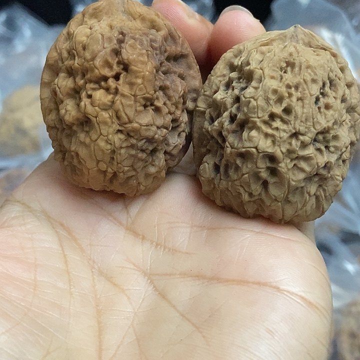 把件文玩核桃云南铁核桃基地33