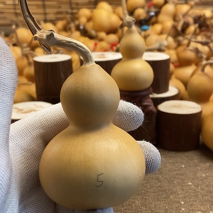 文玩葫芦 完美主义者 慎拍5