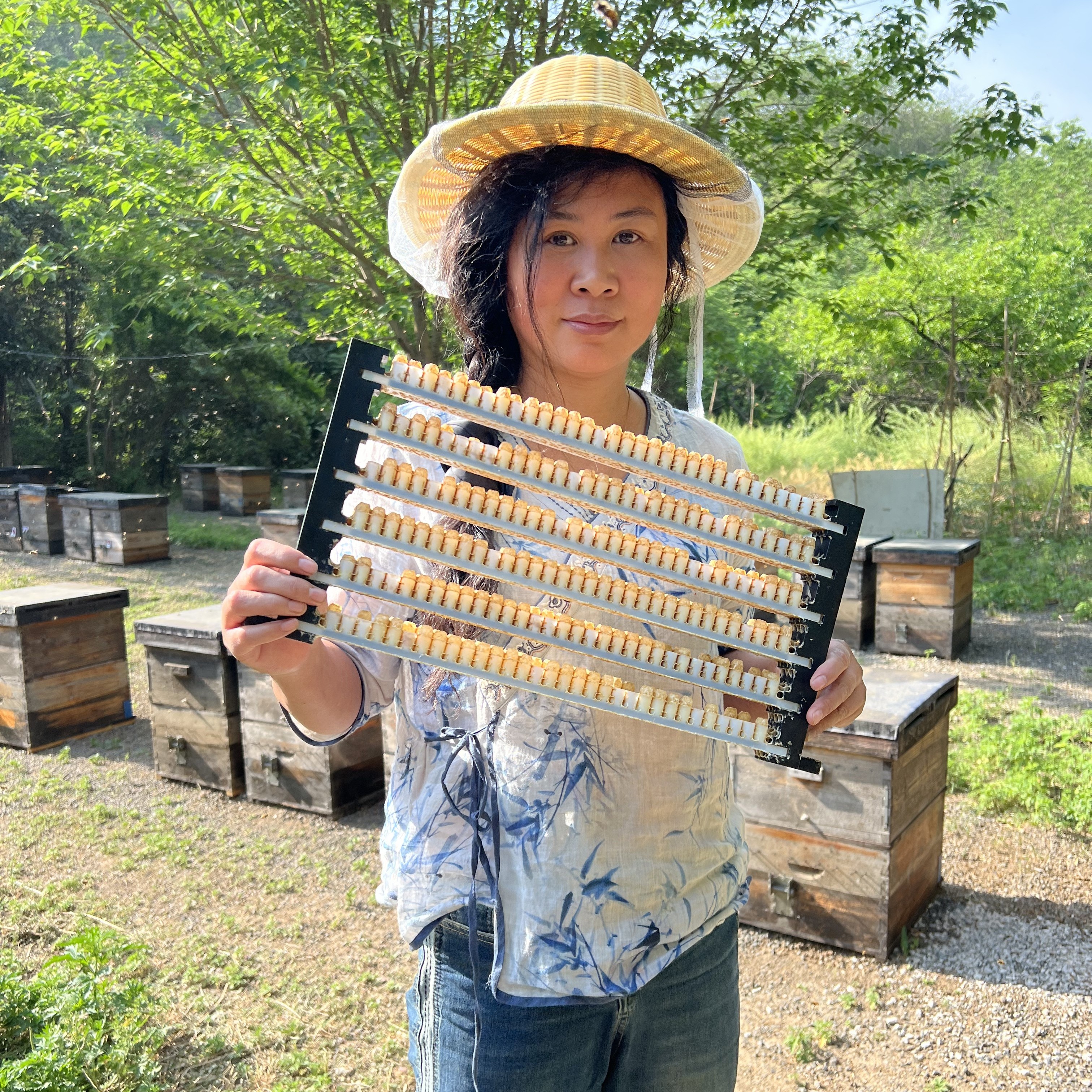 头茬天然山花蜂王浆
