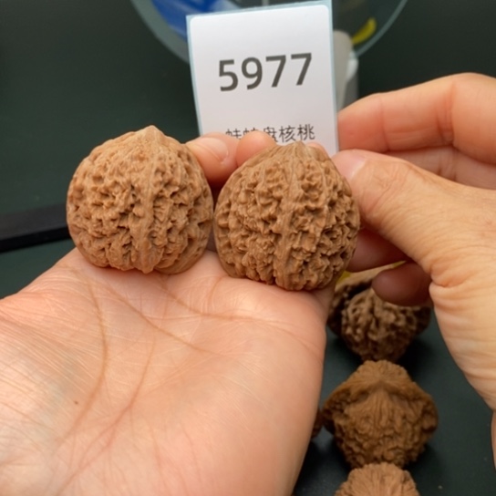 把件文玩核桃38满天星5977
