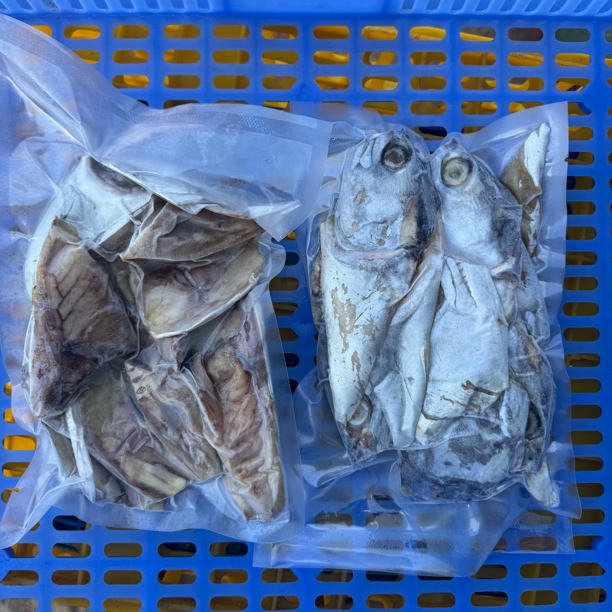 湛江本港谈晒马鲛鱼头不咸不淡