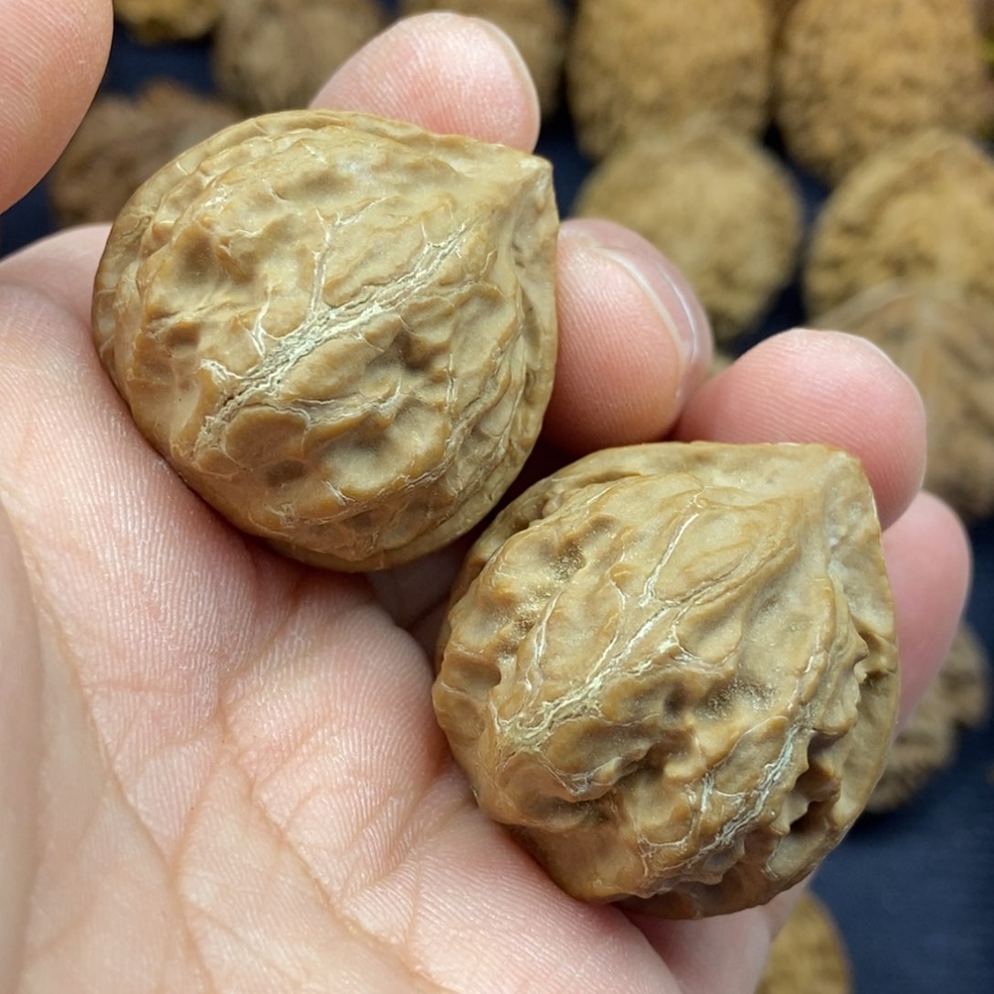 秦岭核桃蒜头手捻6号链接666