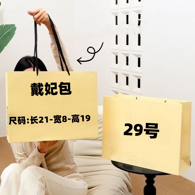 【29号】2025新款戴妃包气质轻奢0566#