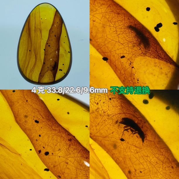 【小伊琥珀】虫珀植物珀小精品「不支持退换」