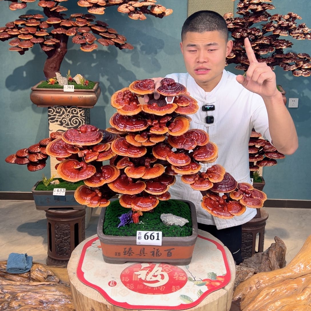 无花朵88888888888