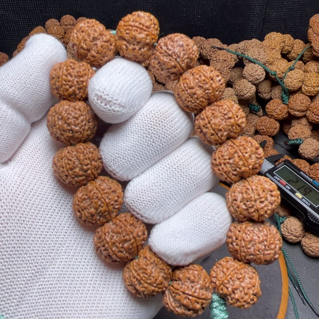 金刚菩提手串梁产区天然籽蜂王6瓣19+