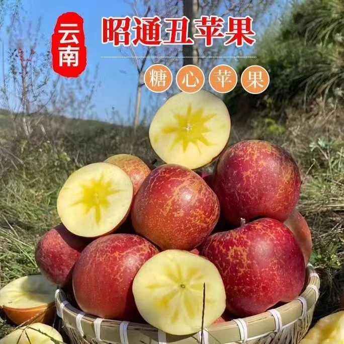 （包甜）云南老树冰糖心丑苹果 樱桃小苹果 当季新鲜水果