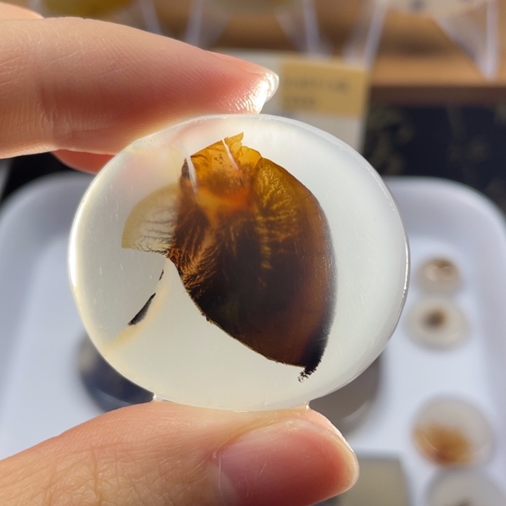 玛瑙/玉髓未镶嵌牌子