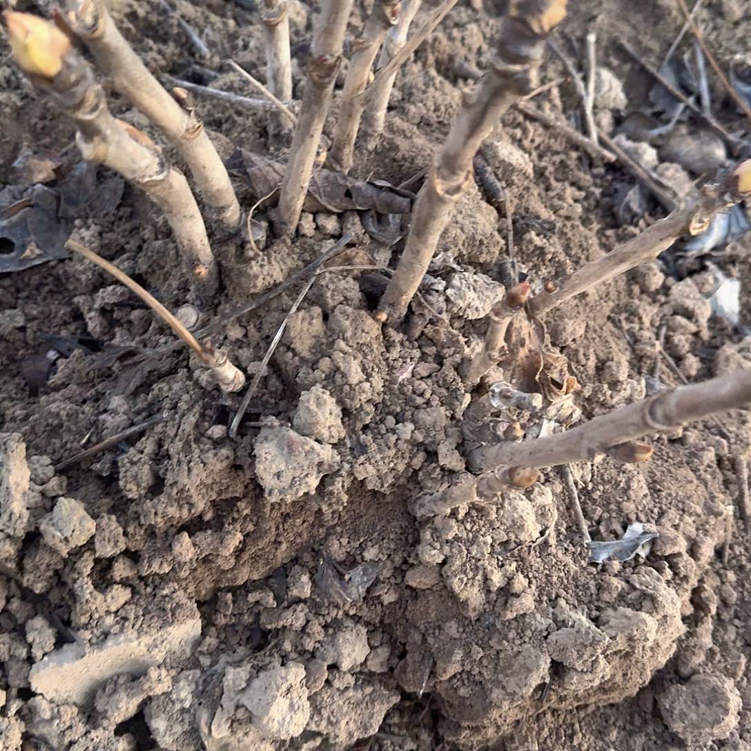 完全开放111111111