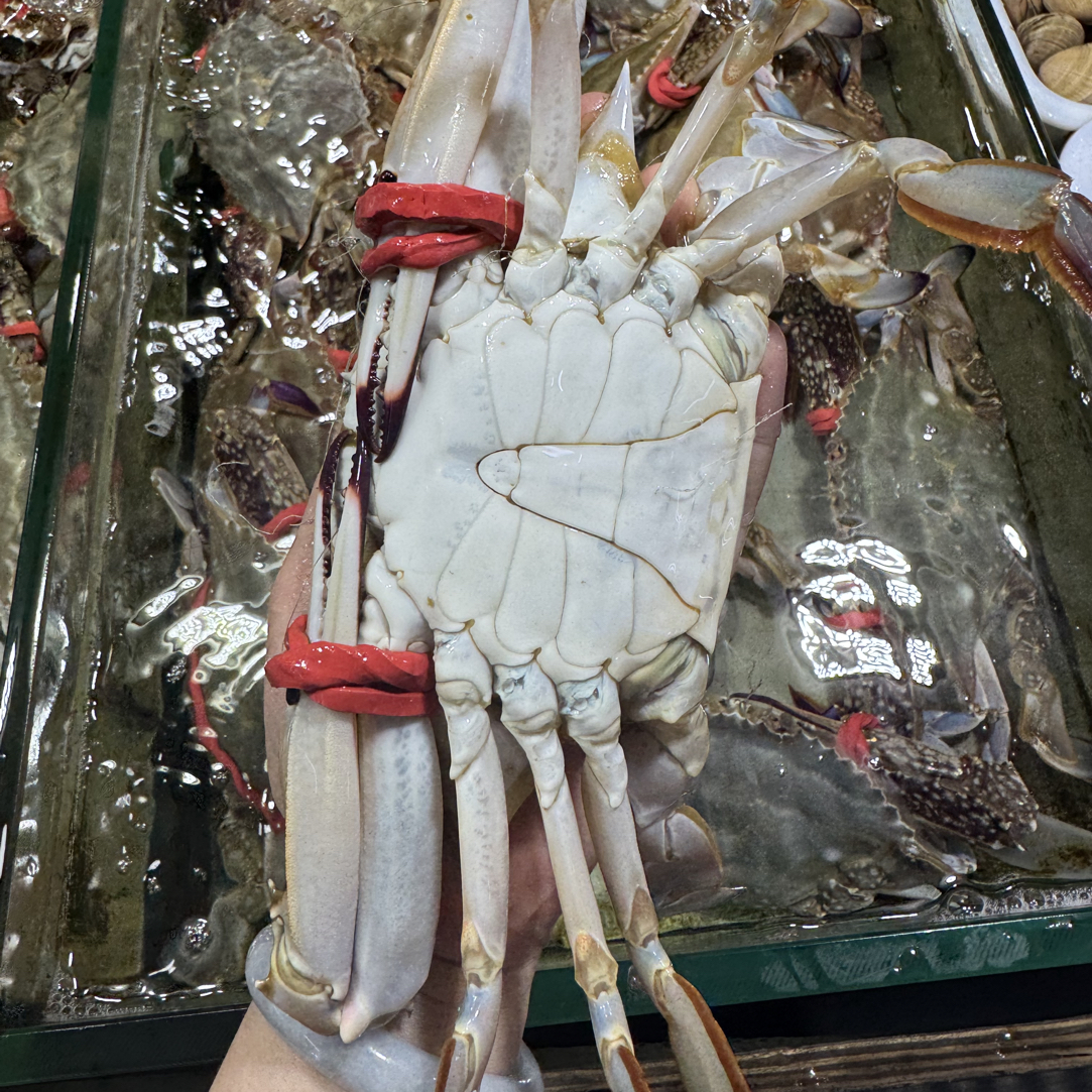 鲜活梭子蟹 单只6-7两，一份一只装300-350g【保鲜不保活】