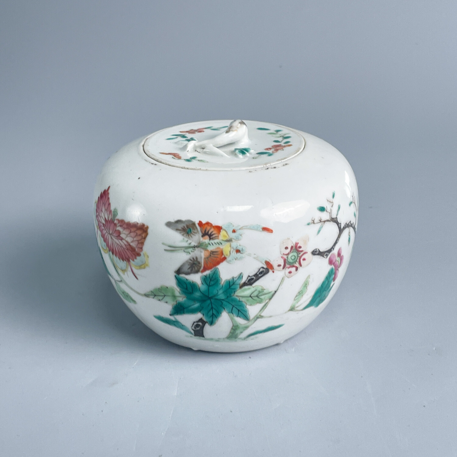 清光绪粉彩花蝶纹盖罐-M25FM002738