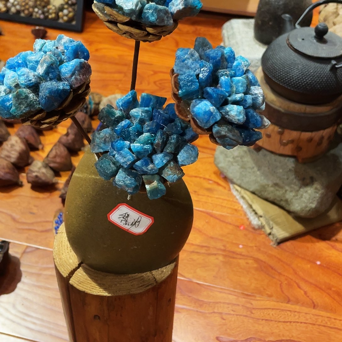 黎***明这两位小姐妹真的都特别