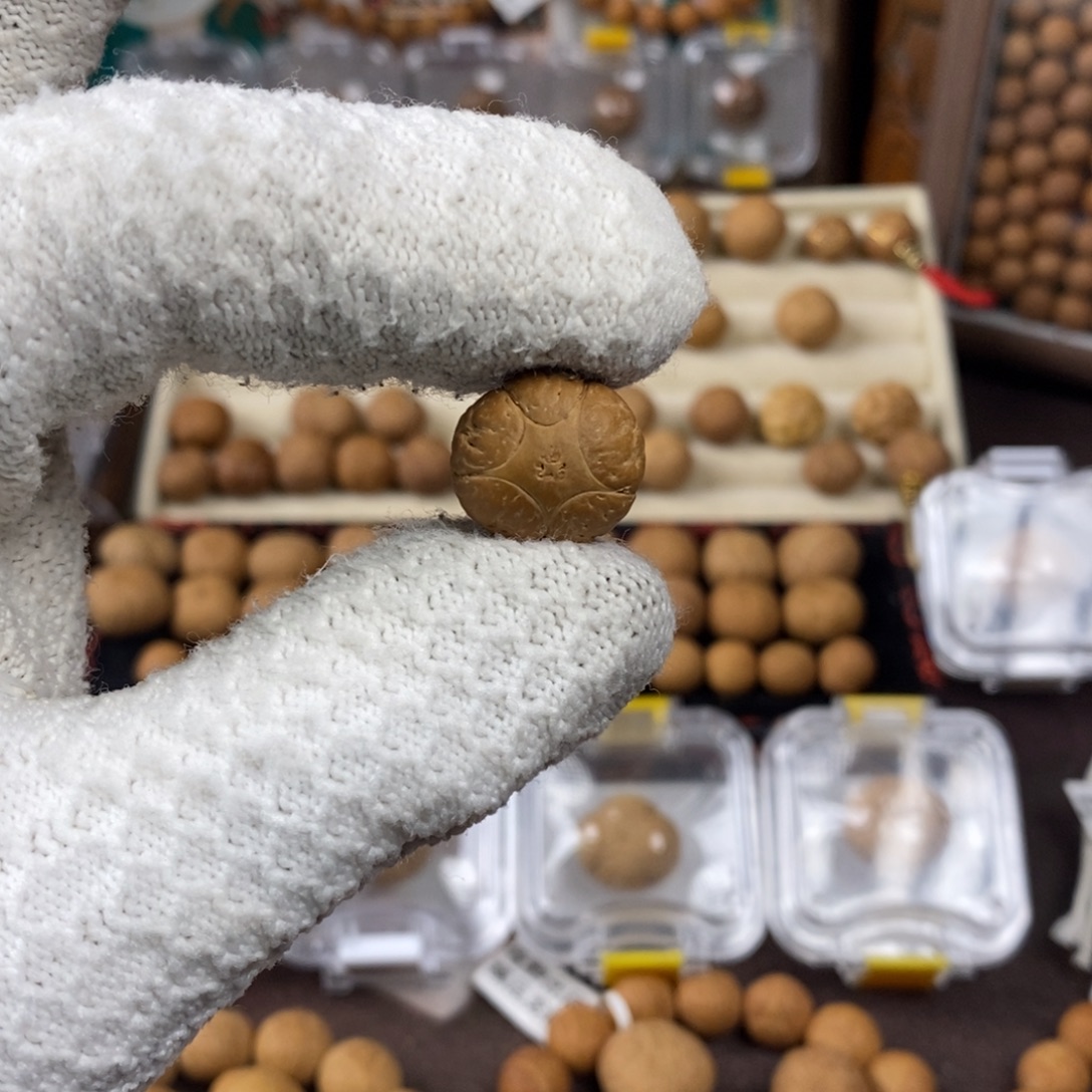 凤眼菩提吊坠17.5五星单颗