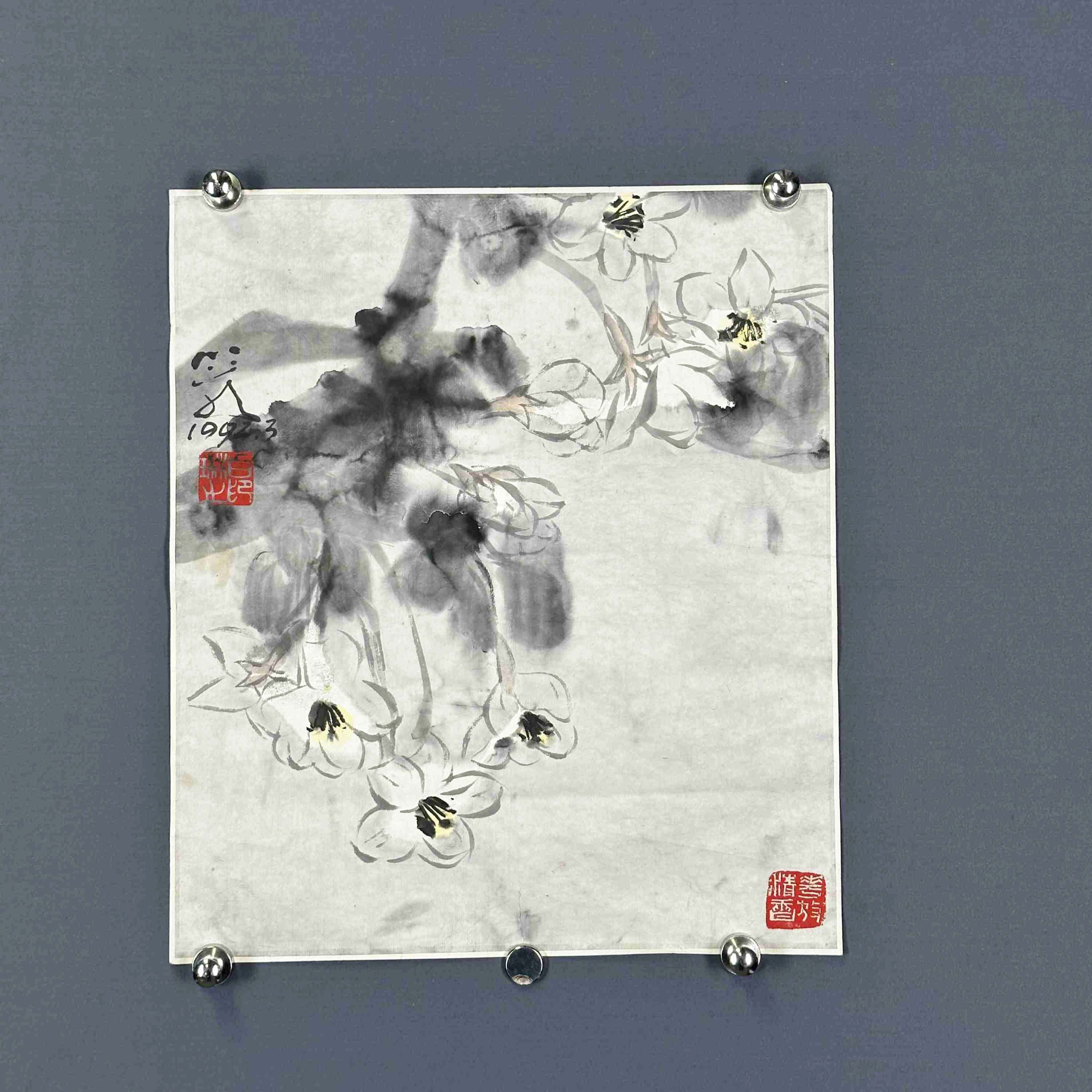 0129、 白 琳 玉兰花【海丽1拍卖】