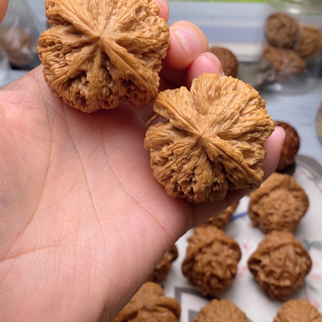 【闪购商品】文玩核桃把件Y****c粗筋