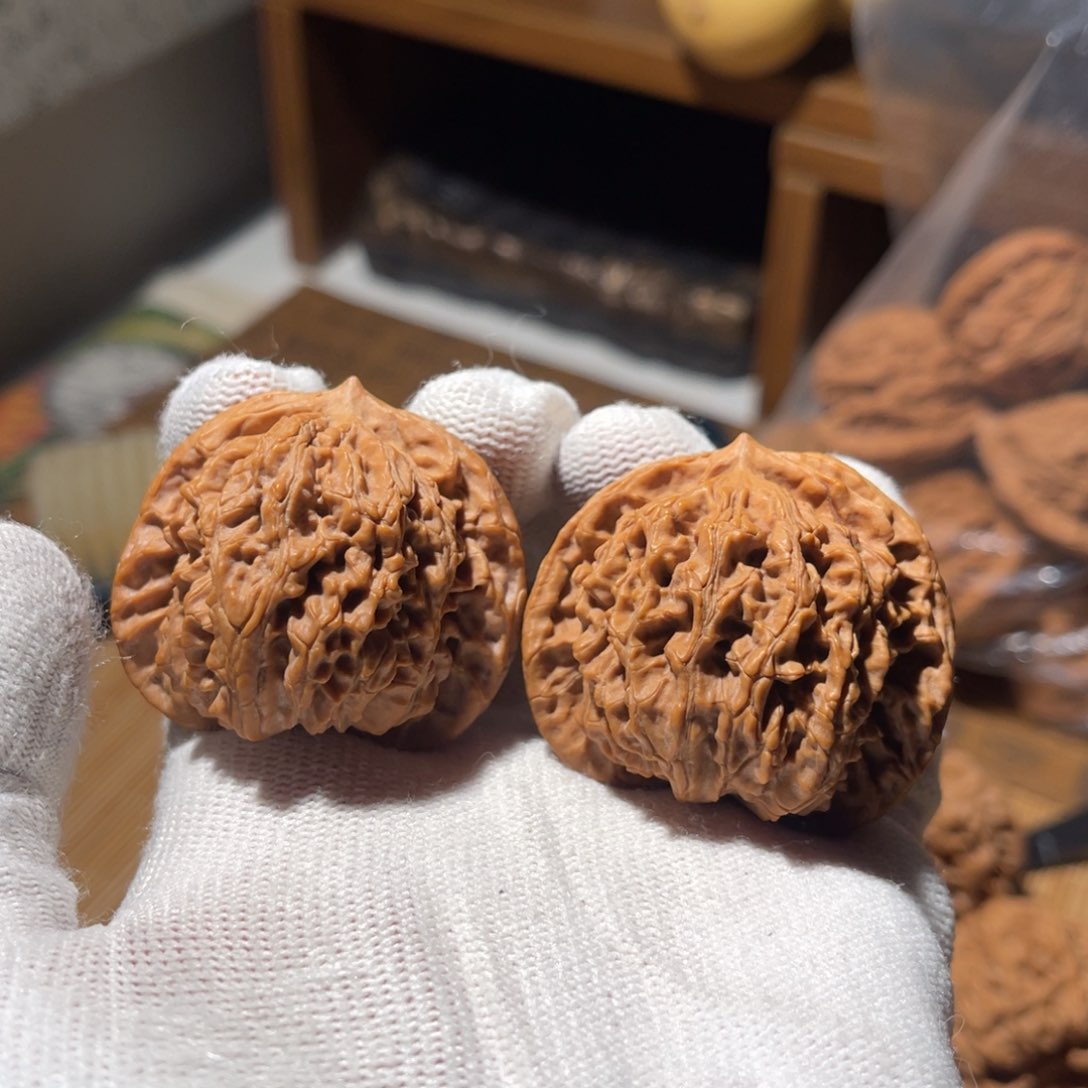 文玩核桃把件43 老盘龙陈果，全品，不退不换