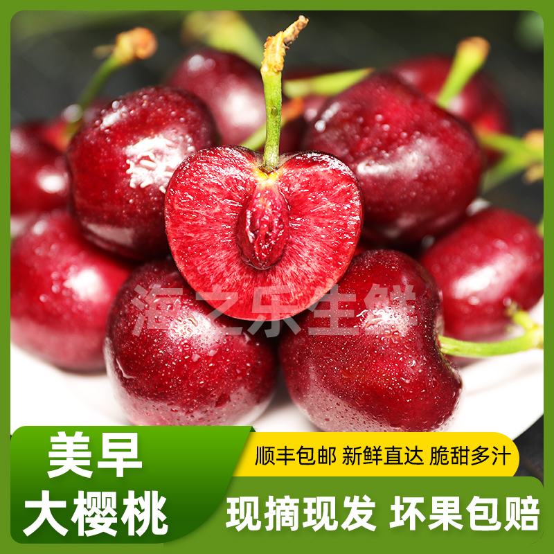 【顺丰冷链】山东脆甜美早樱桃1-3斤J新鲜水果空运1美早樱桃